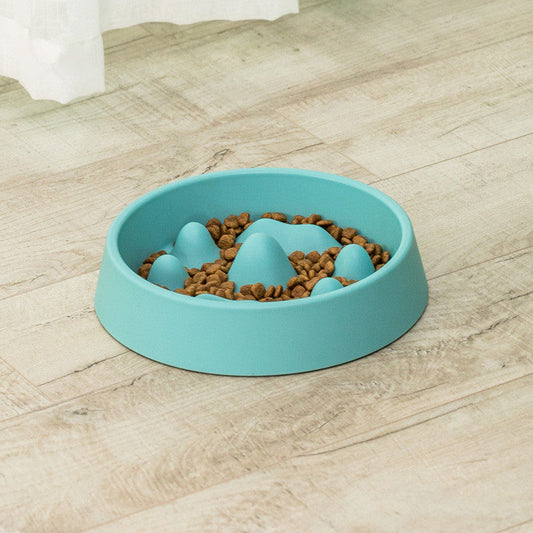 Healthy Slow Feeder Pet Bowl | Non-Skid Anti-Gulping Food Dish