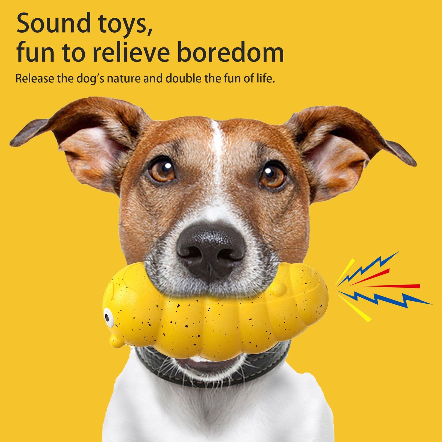 Teething Pet Toy with Novel Sound | Self-Play Pet Supplies for Dogs