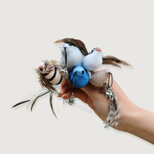 Replacement Birds for (Interactive Bird Simulation Cat Toy Set)