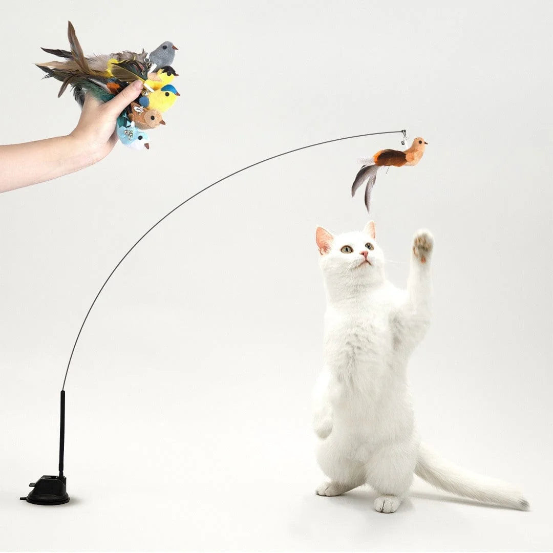 Interactive Bird Simulation Cat Toy Set