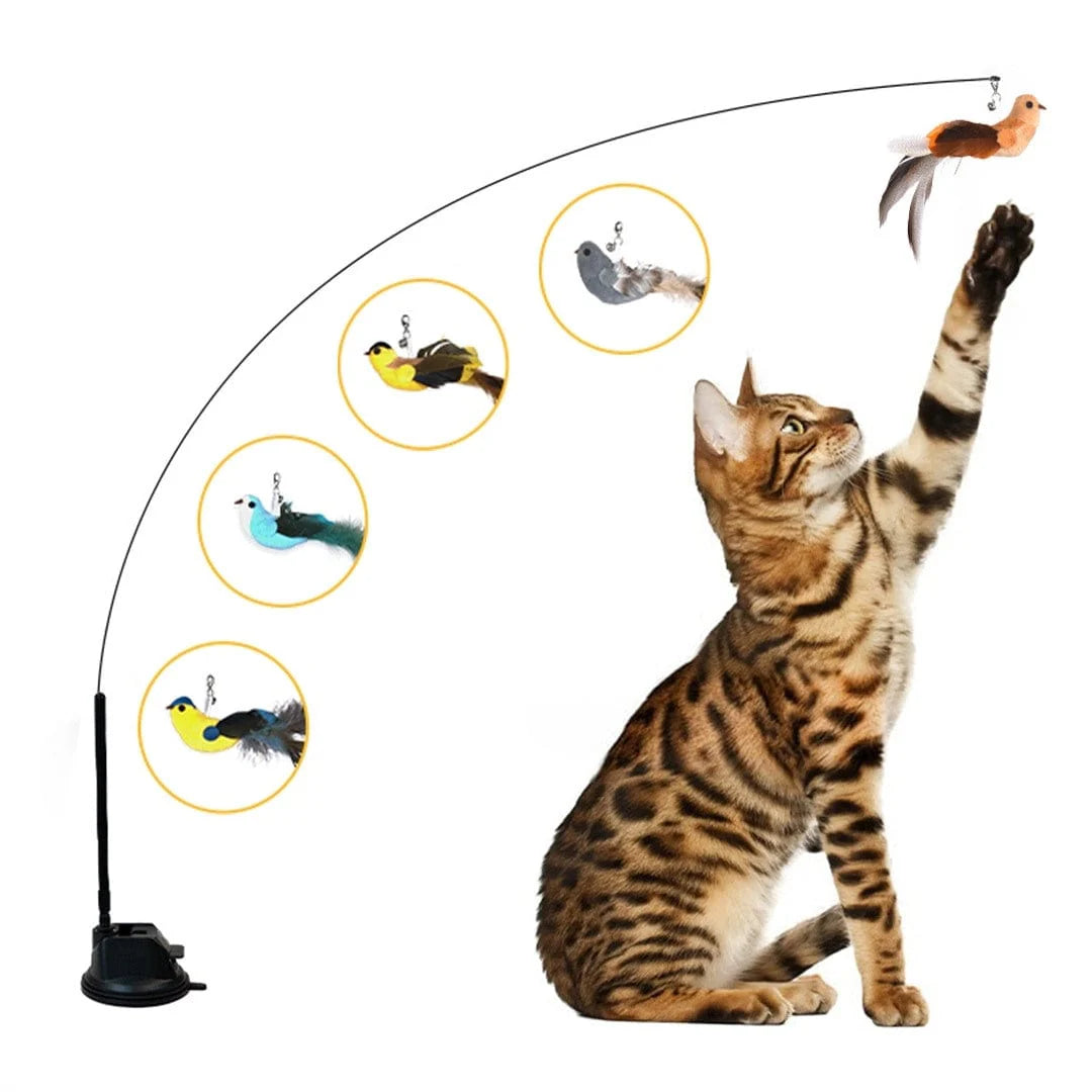 Interactive Bird Simulation Cat Toy Set